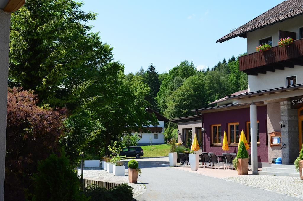Hotel Der Baeume Drachselsried Extérieur photo